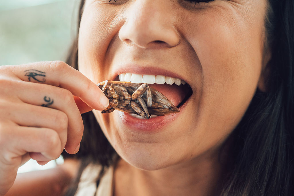 Edible Insects FAQ | Bugible